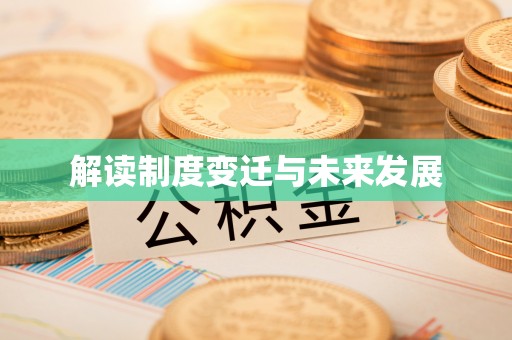 大足解读制度变迁与未来发展