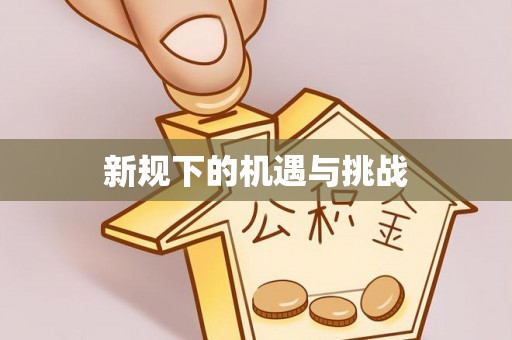 大足新规下的机遇与挑战