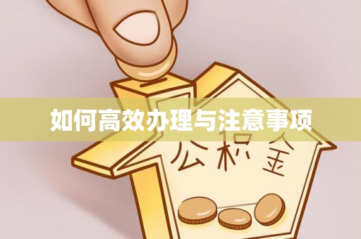 大足如何高效办理与注意事项