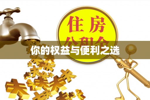 大足你的权益与便利之选