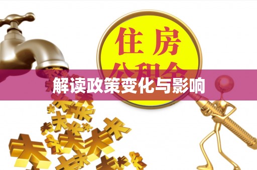 大足解读政策变化与影响