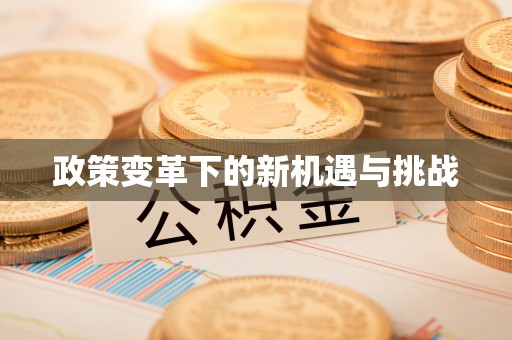 大足政策变革下的新机遇与挑战