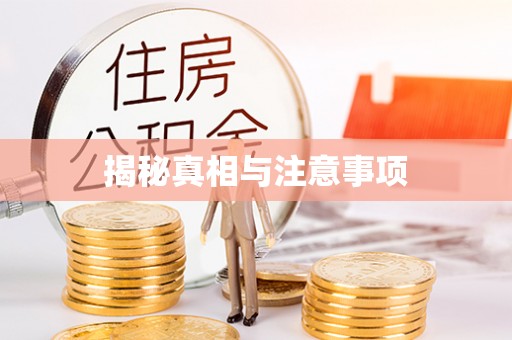 大足揭秘真相与注意事项