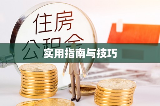 大足实用指南与技巧