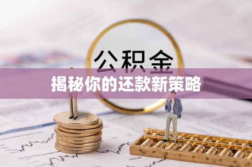 大足揭秘你的还款新策略