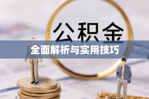 大足全面解析与实用技巧