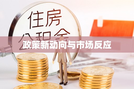 大足政策新动向与市场反应