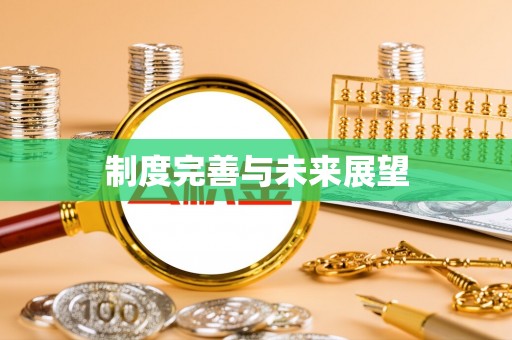 大足制度完善与未来展望