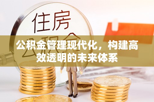 大足公积金管理现代化，构建高效透明的未来体系
