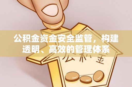 大足公积金资金安全监管，构建透明、高效的管理体系