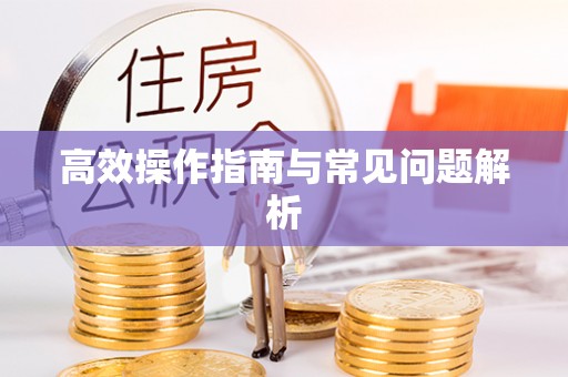 大足高效操作指南与常见问题解析