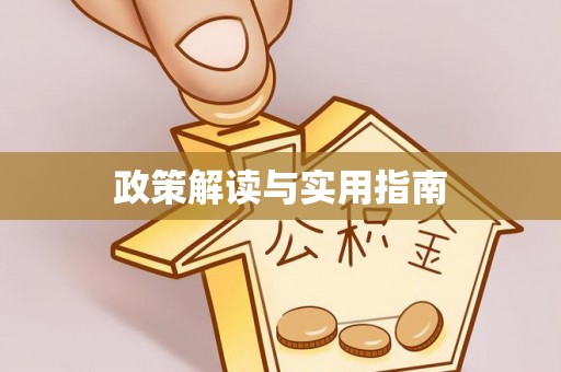 大足政策解读与实用指南