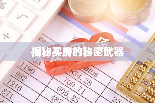大足揭秘买房的秘密武器