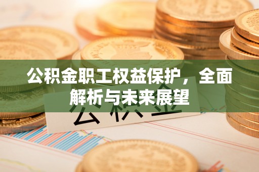 大足公积金职工权益保护，全面解析与未来展望