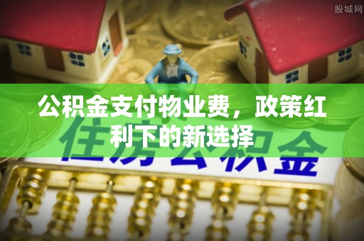 大足公积金支付物业费，政策红利下的新选择