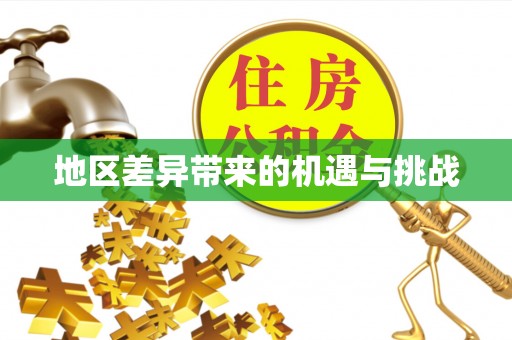 大足地区差异带来的机遇与挑战