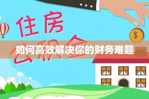 大足如何高效解决你的财务难题