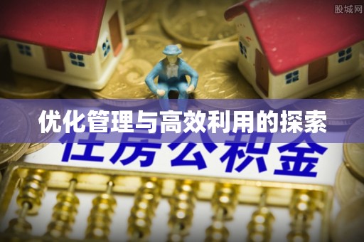 大足优化管理与高效利用的探索