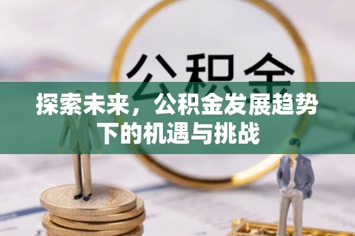 大足探索未来，公积金发展趋势下的机遇与挑战