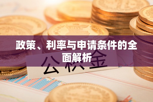 大足政策、利率与申请条件的全面解析