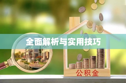 大足全面解析与实用技巧