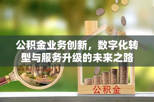 大足公积金业务创新，数字化转型与服务升级的未来之路