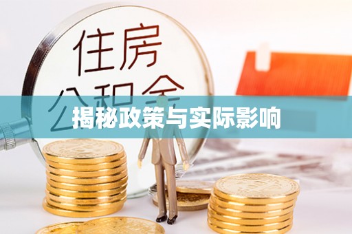大足揭秘政策与实际影响