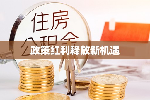 大足政策红利释放新机遇