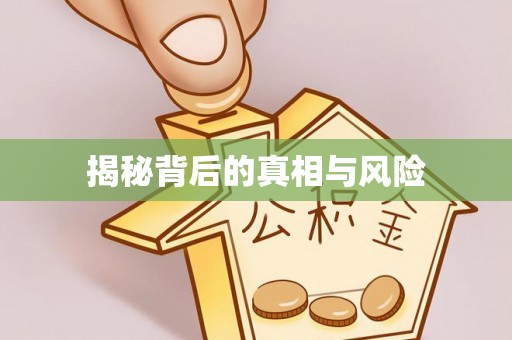 大足揭秘背后的真相与风险