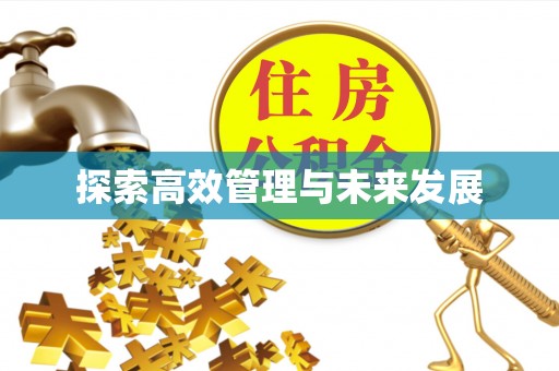 大足探索高效管理与未来发展