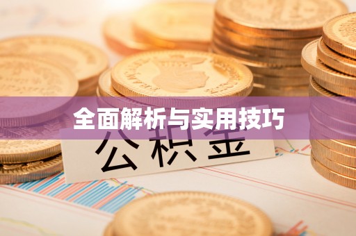 大足全面解析与实用技巧