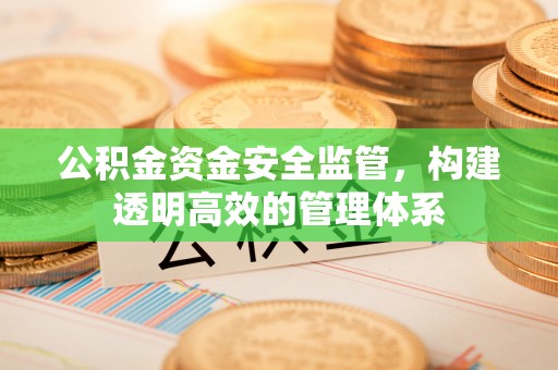 大足公积金资金安全监管，构建透明高效的管理体系