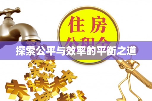 大足探索公平与效率的平衡之道