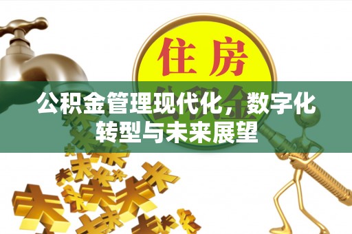 大足公积金管理现代化，数字化转型与未来展望