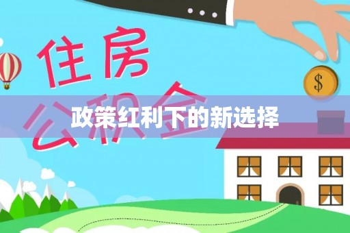 大足政策红利下的新选择