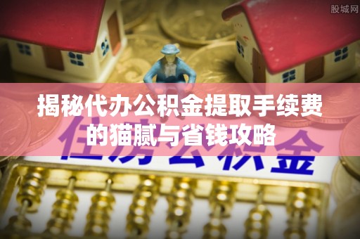 大足揭秘代办公积金提取手续费的猫腻与省钱攻略