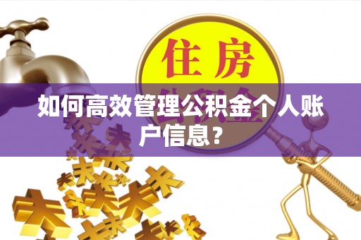 大足如何高效管理公积金个人账户信息？