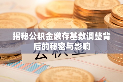 大足揭秘公积金缴存基数调整背后的秘密与影响