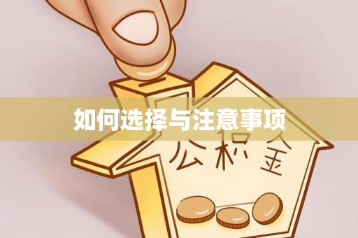 大足如何选择与注意事项
