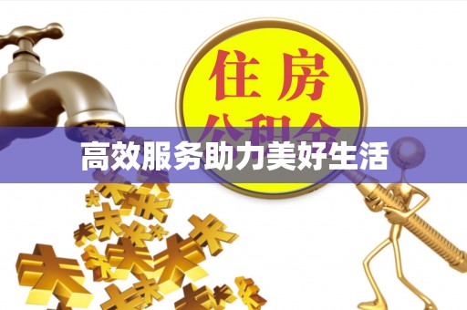 大足高效服务助力美好生活