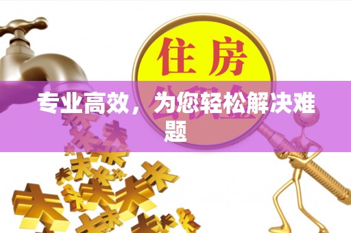 大足专业高效，为您轻松解决难题