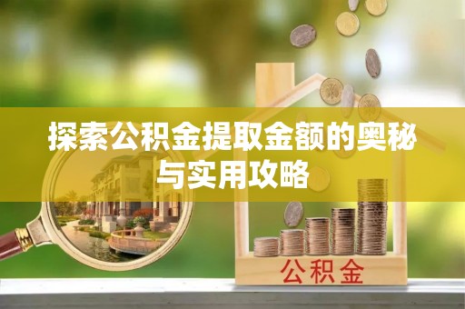 大足探索公积金提取金额的奥秘与实用攻略