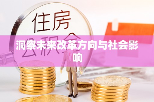 大足洞察未来改革方向与社会影响