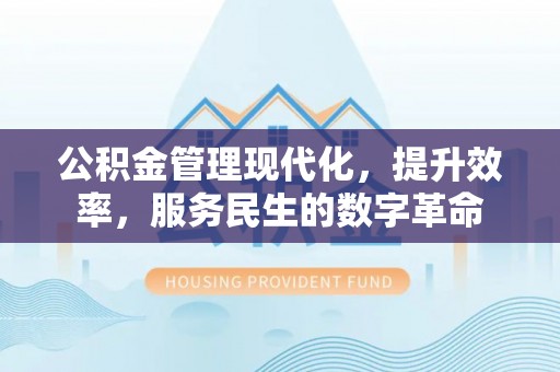 大足公积金管理现代化，提升效率，服务民生的数字革命