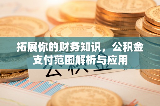 大足拓展你的财务知识，公积金支付范围解析与应用