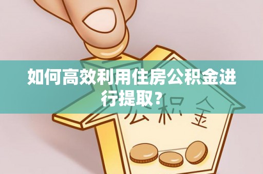 大足如何高效利用住房公积金进行提取？