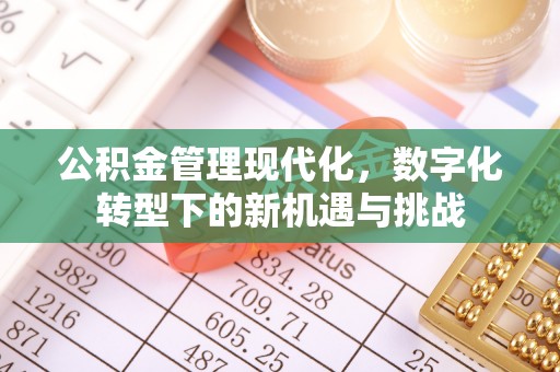 大足公积金管理现代化，数字化转型下的新机遇与挑战