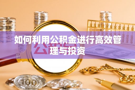 大足如何利用公积金进行高效管理与投资