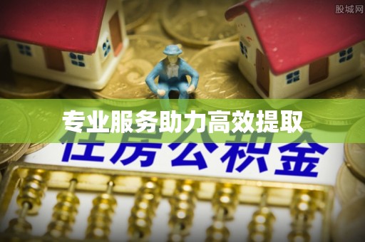 大足专业服务助力高效提取