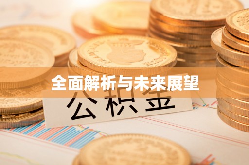 大足全面解析与未来展望